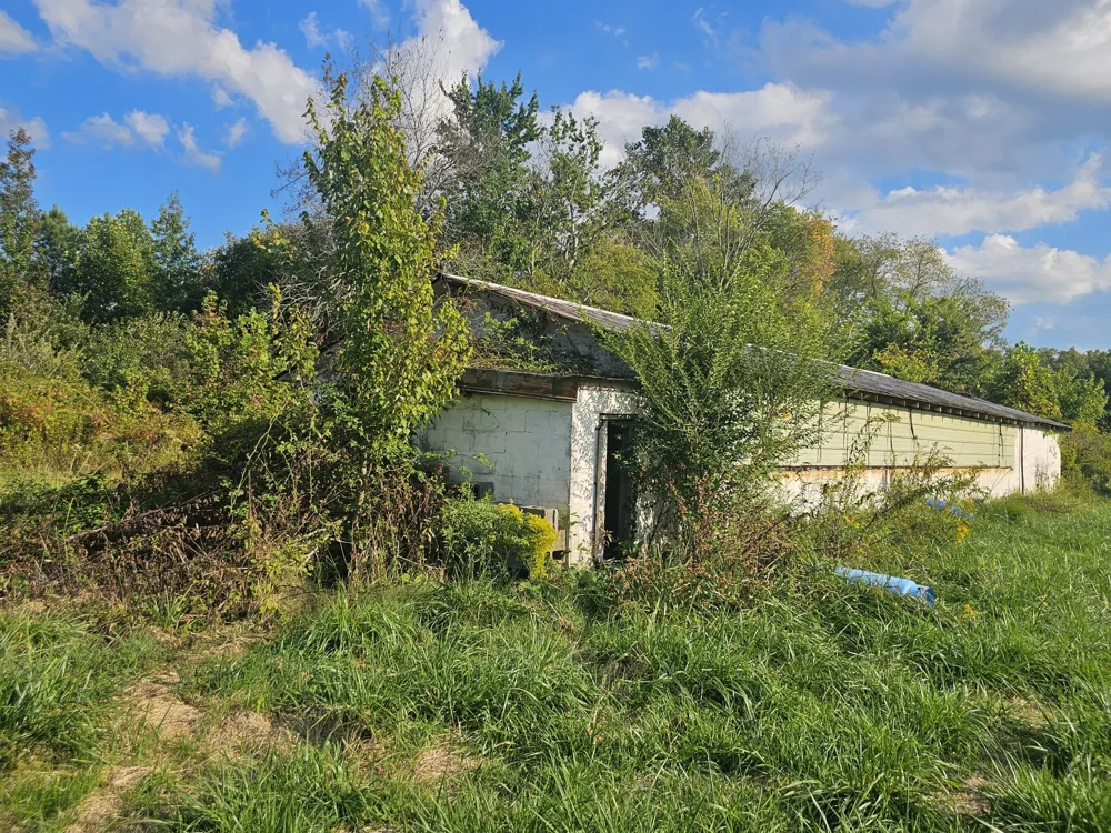 1077 Rock Ave Palmer, TN 37365