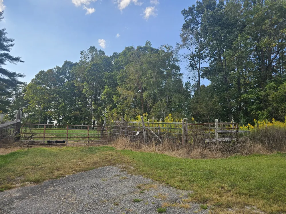 1077 Rock Ave Palmer, TN 37365