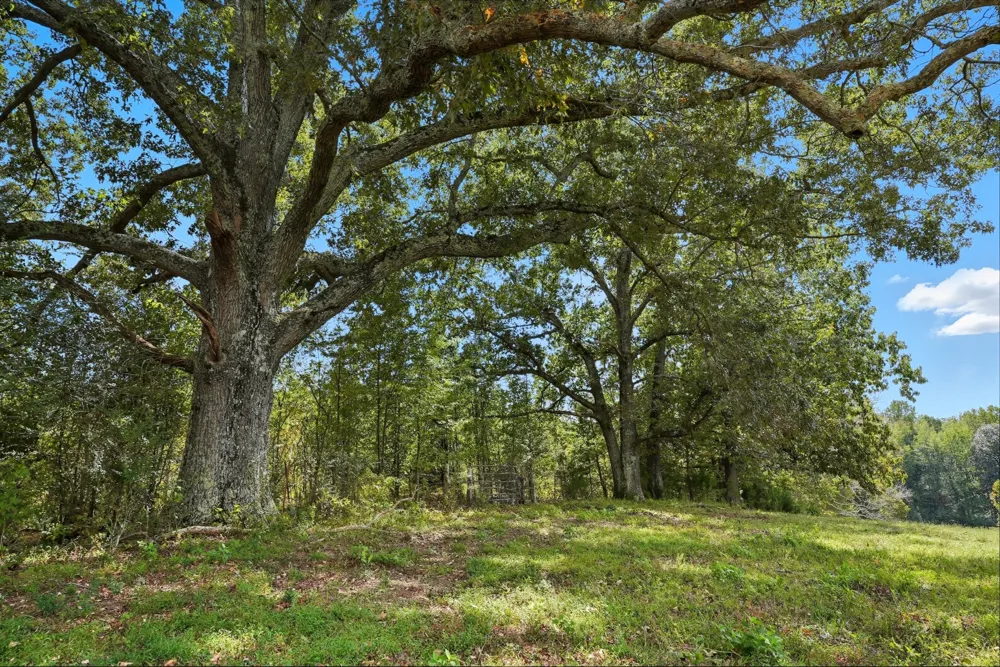 0 Liberty Road Sparta, TN 38583