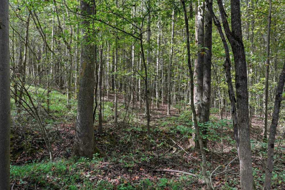 0 Liberty Road Sparta, TN 38583