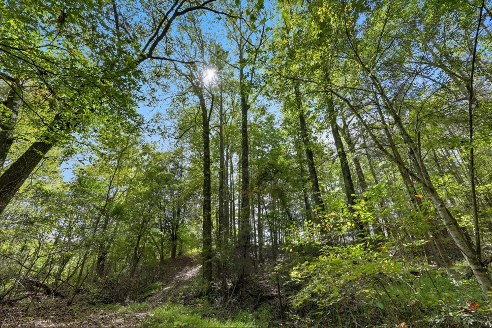 0 Liberty Road Sparta, TN 38583