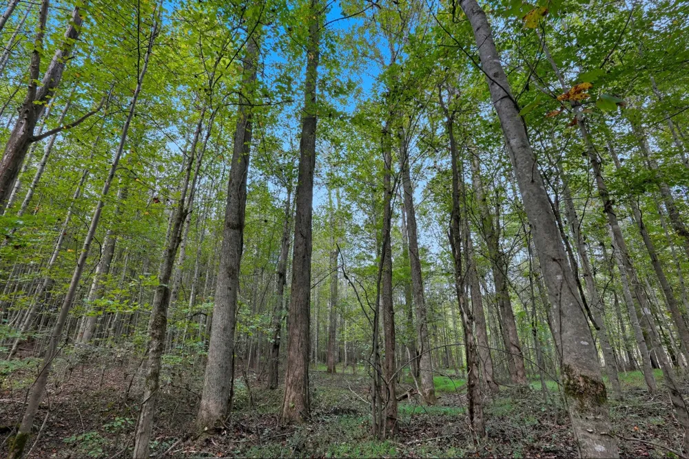 0 Liberty Road Sparta, TN 38583