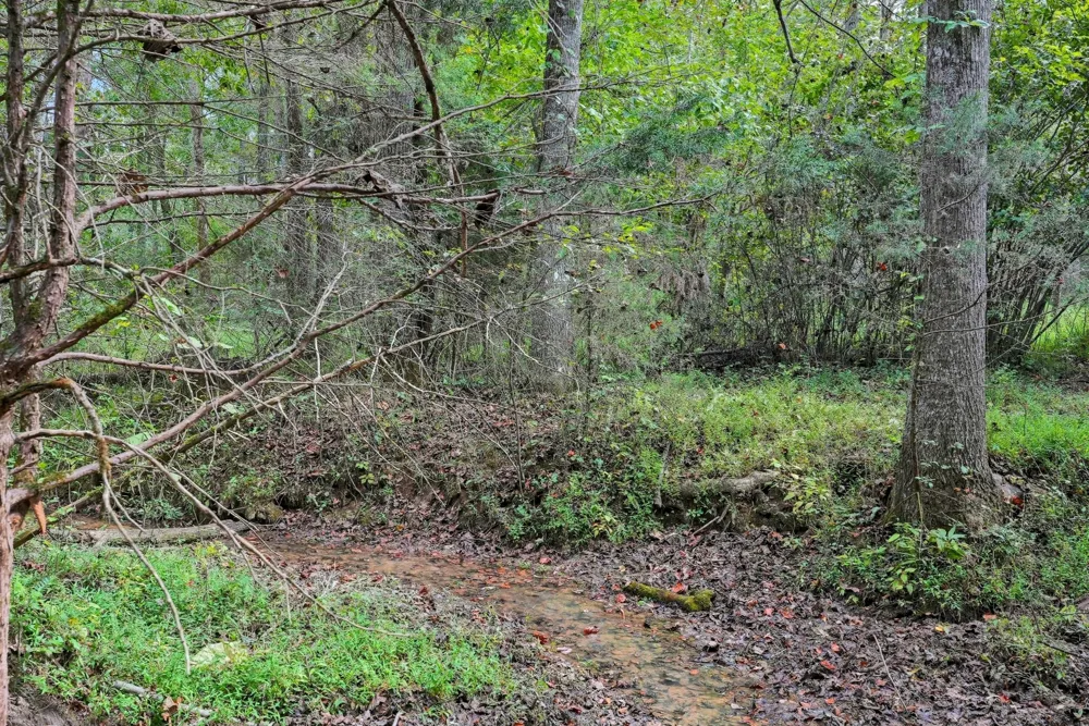 1 Smithville Hwy Sparta, TN 38583
