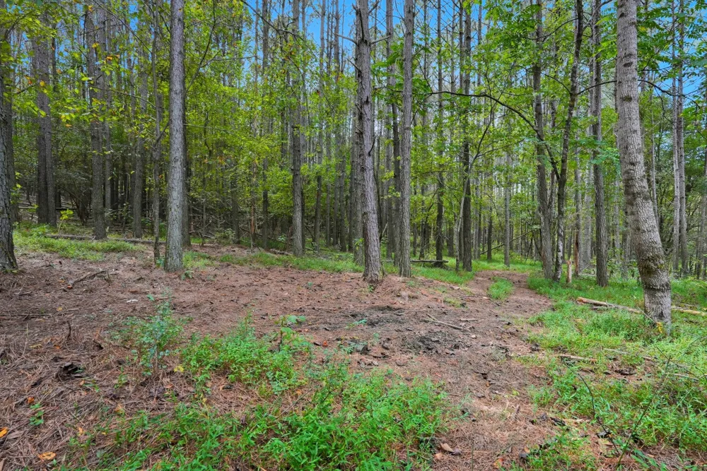 1 Smithville Hwy Sparta, TN 38583