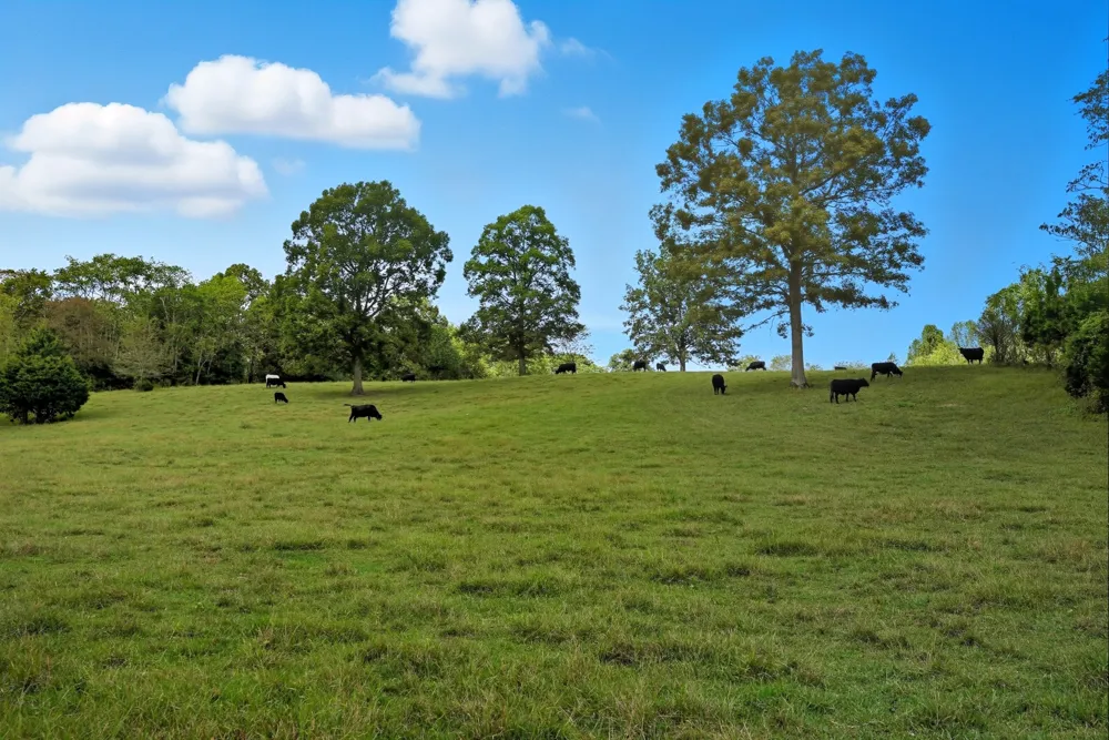 1 Smithville Hwy Sparta, TN 38583