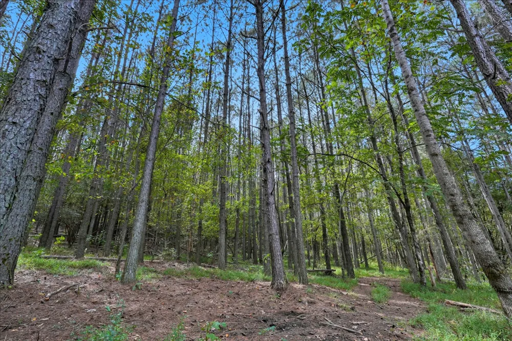 1 Smithville Hwy Sparta, TN 38583