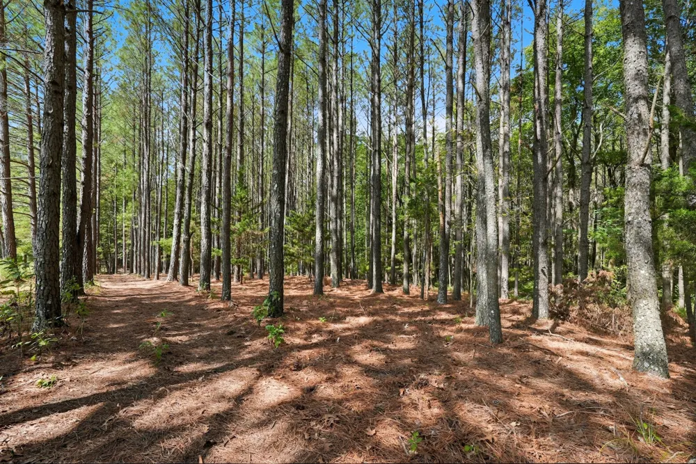 1 Smithville Hwy Sparta, TN 38583