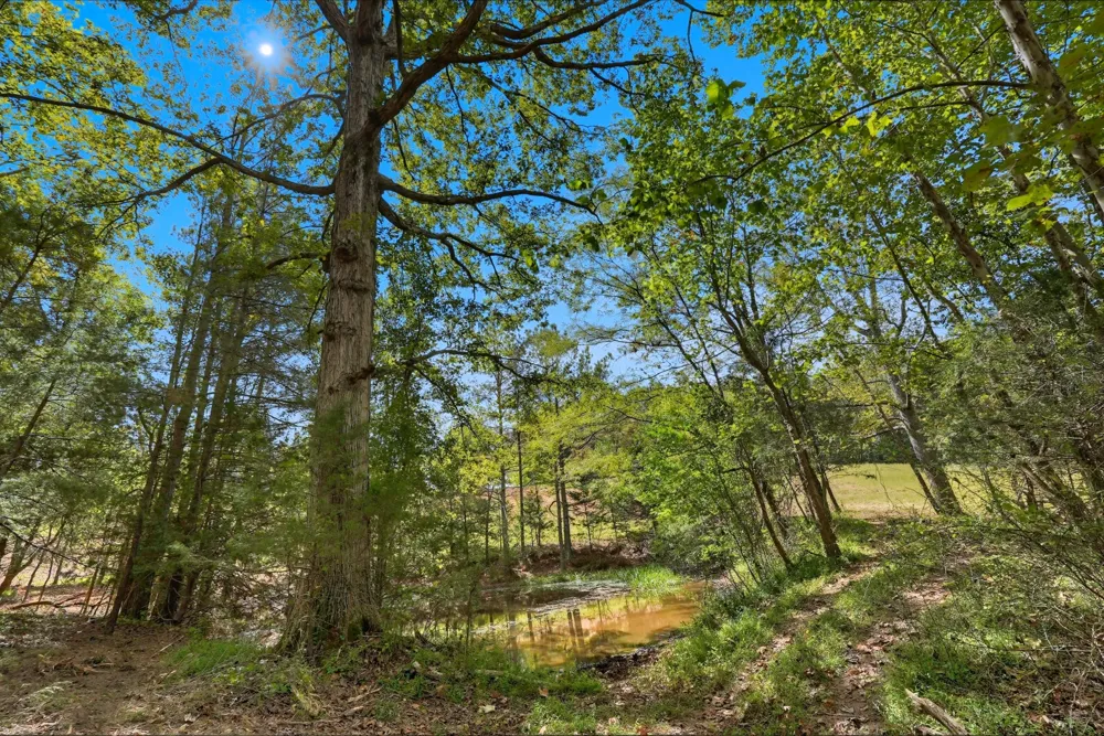 1 Smithville Hwy Sparta, TN 38583