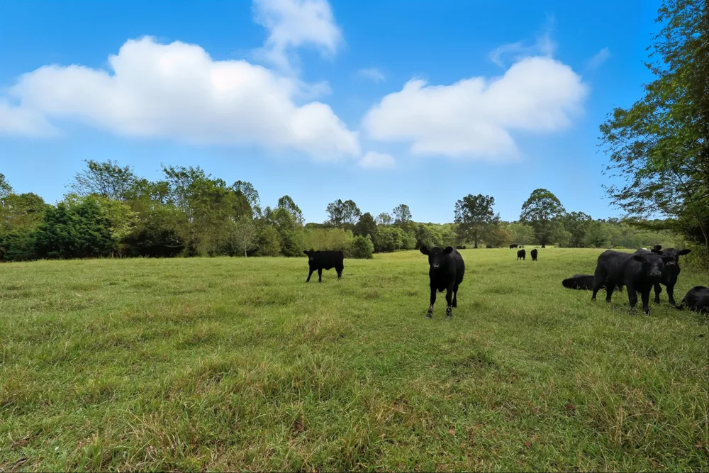 1 Smithville Hwy Sparta, TN 38583