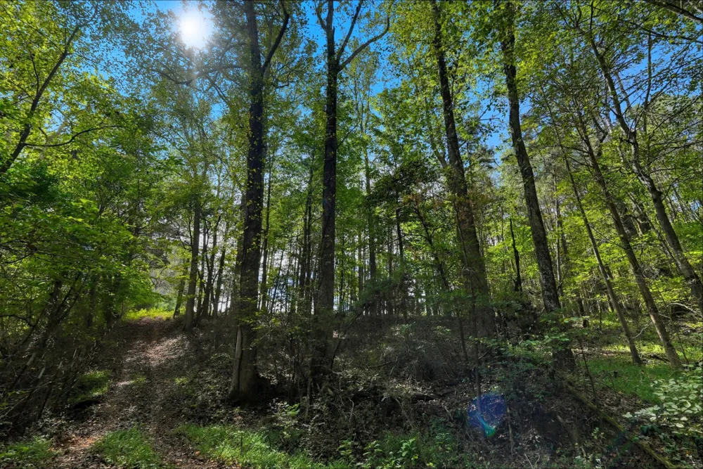 1 Smithville Hwy Sparta, TN 38583