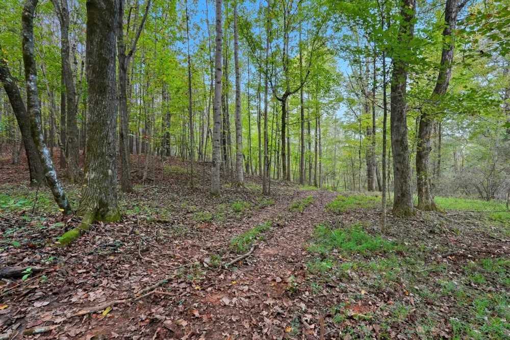1 Smithville Hwy Sparta, TN 38583