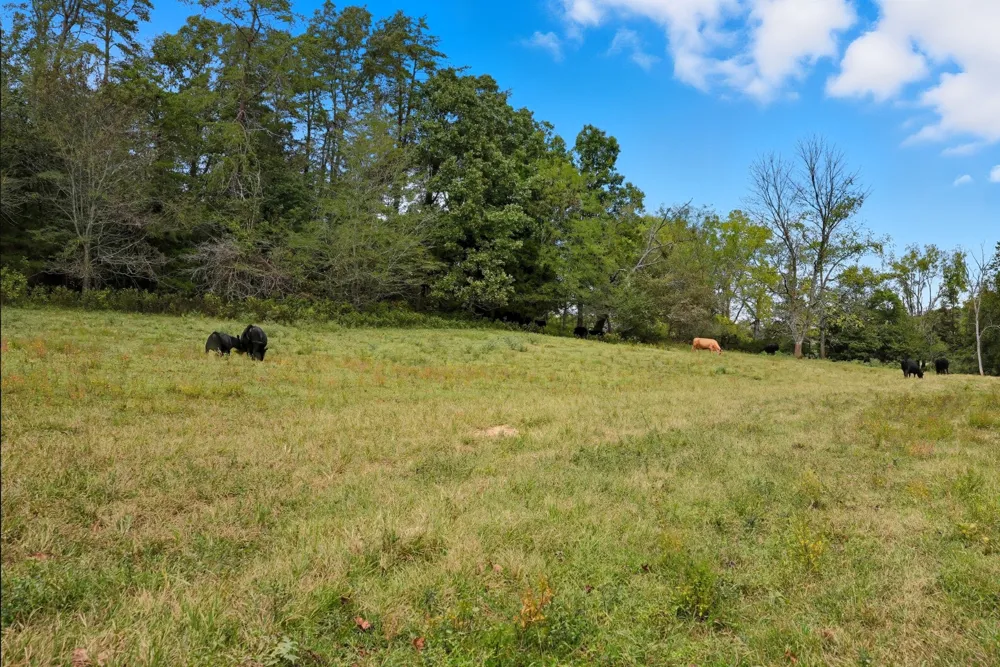 1 Smithville Hwy Sparta, TN 38583