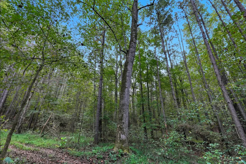 1 Smithville Hwy Sparta, TN 38583