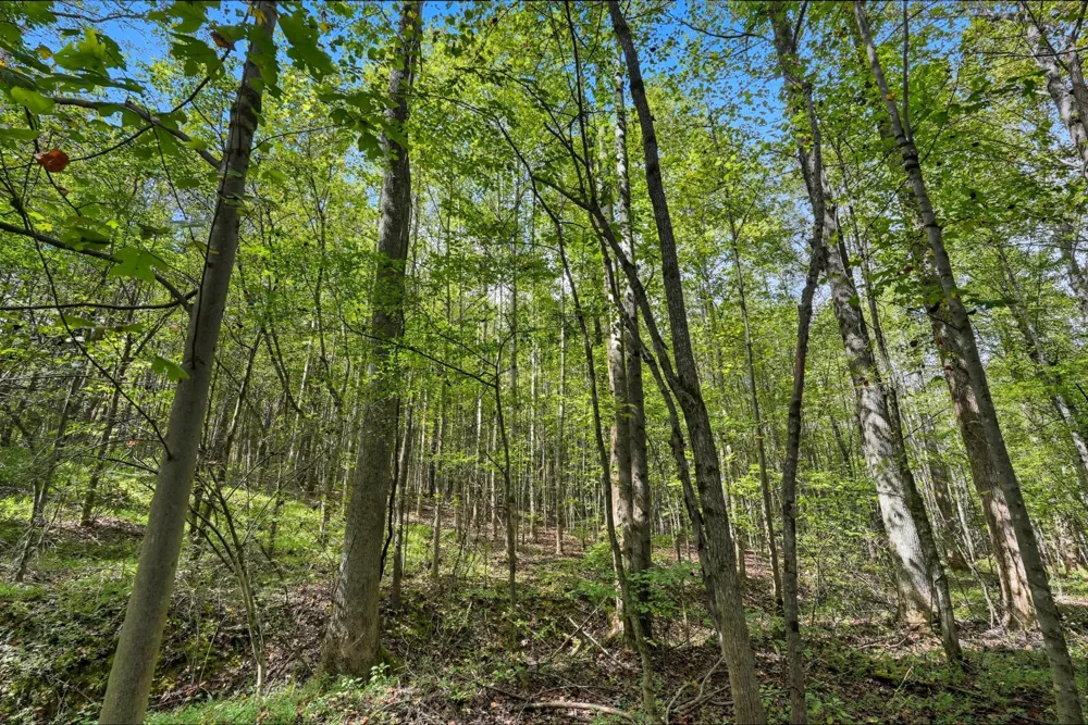 1 Smithville Hwy Sparta, TN 38583