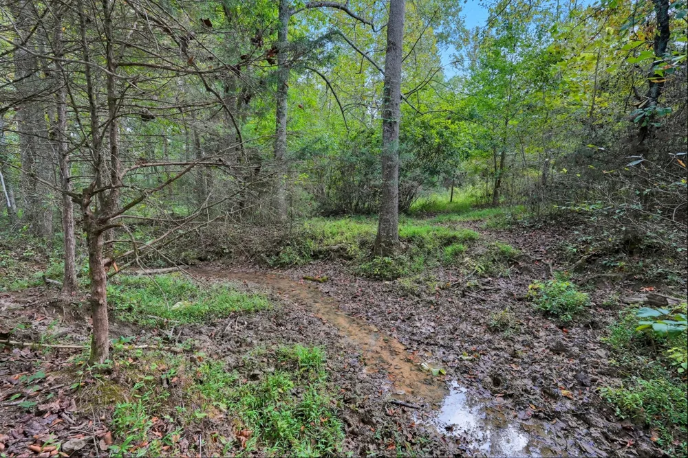 1 Smithville Hwy Sparta, TN 38583