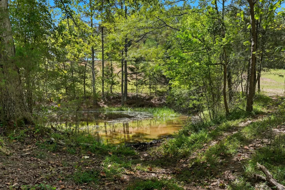 1 Smithville Hwy Sparta, TN 38583