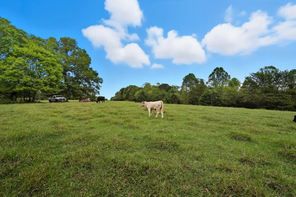 1 Smithville Hwy Sparta, TN 38583