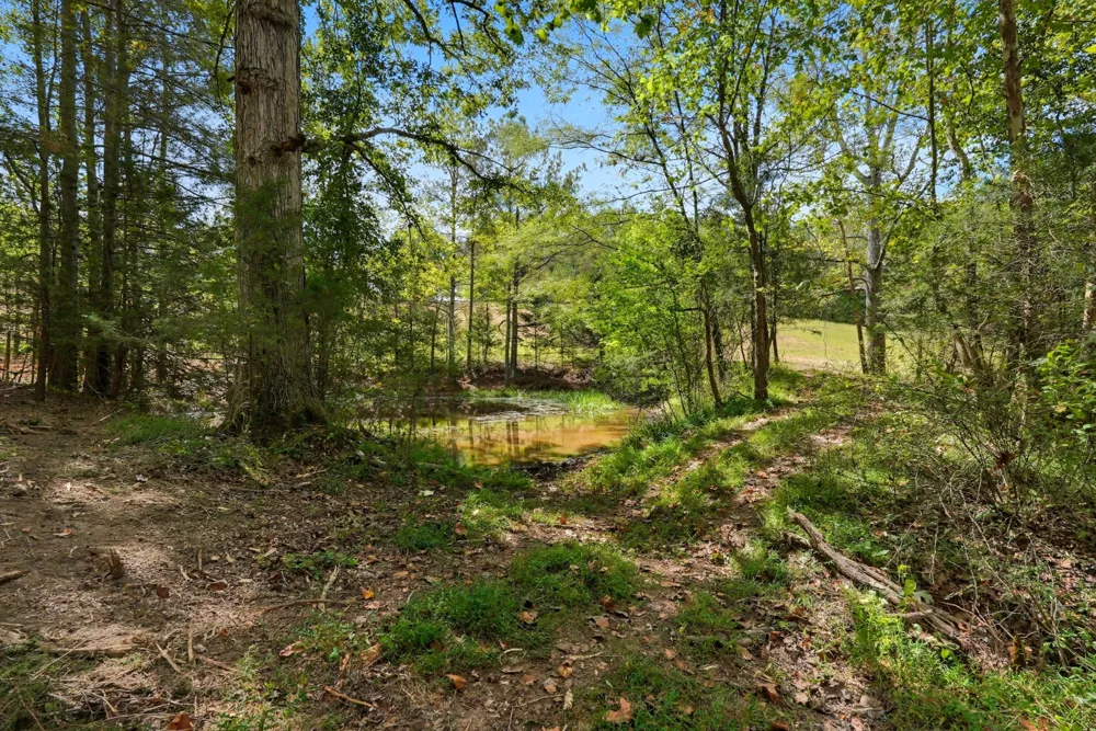 1 Smithville Hwy Sparta, TN 38583
