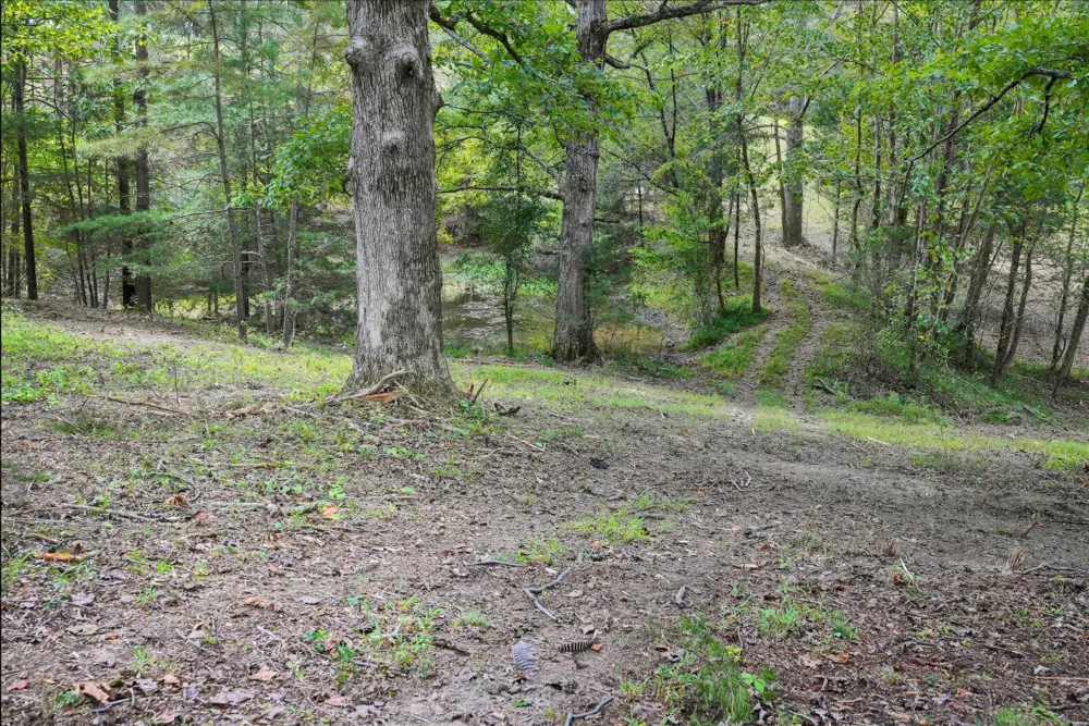 1 Smithville Hwy Sparta, TN 38583