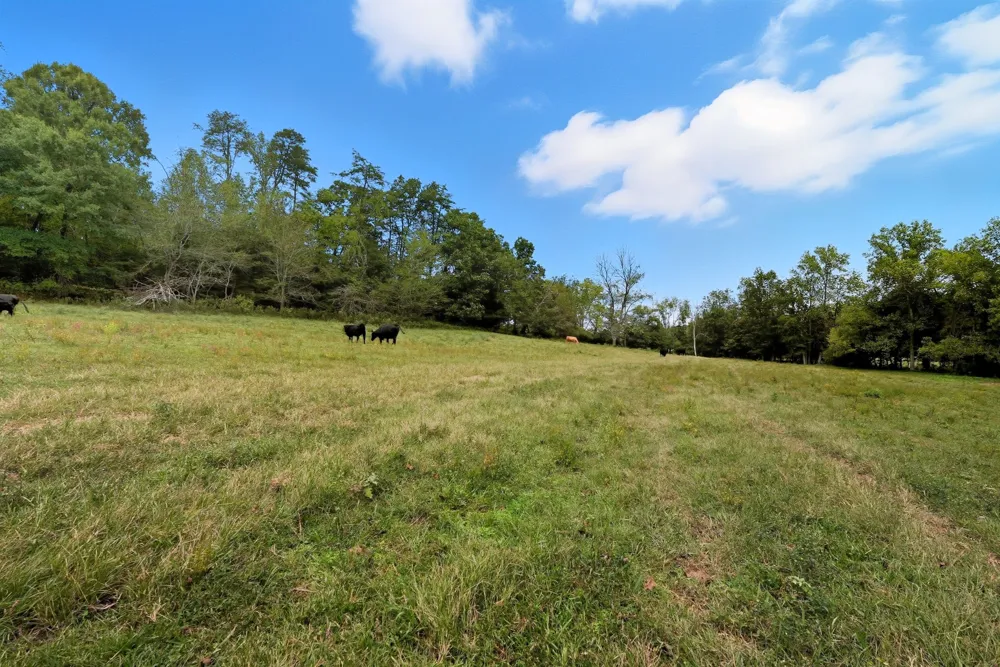 0 Jenkins Road Sparta, TN 38583