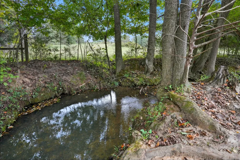 0 Jenkins Road Sparta, TN 38583
