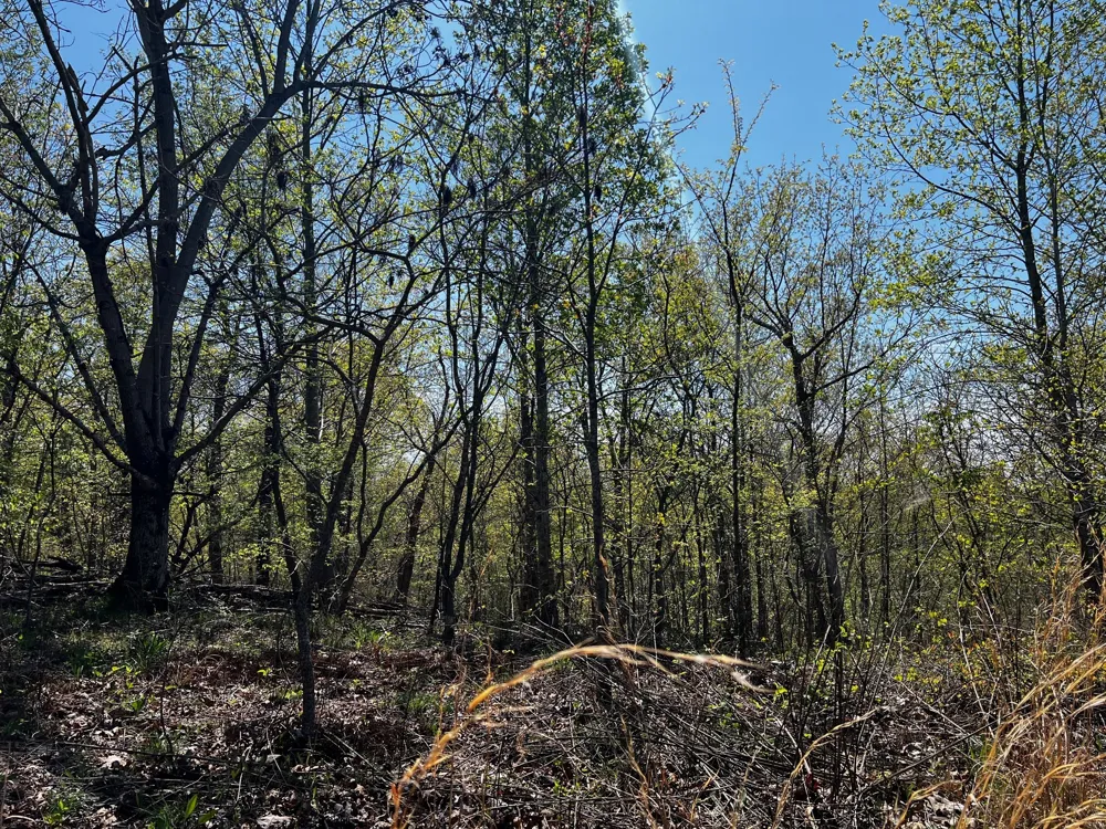 0 Shores Trail Stewart, TN 37175