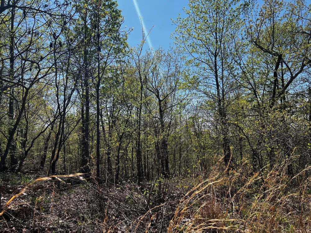 0 Shores Trail Stewart, TN 37175