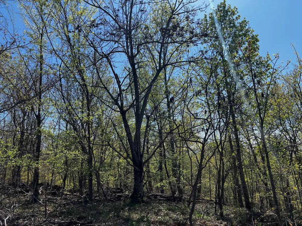 0 Shores Trail Stewart, TN 37175