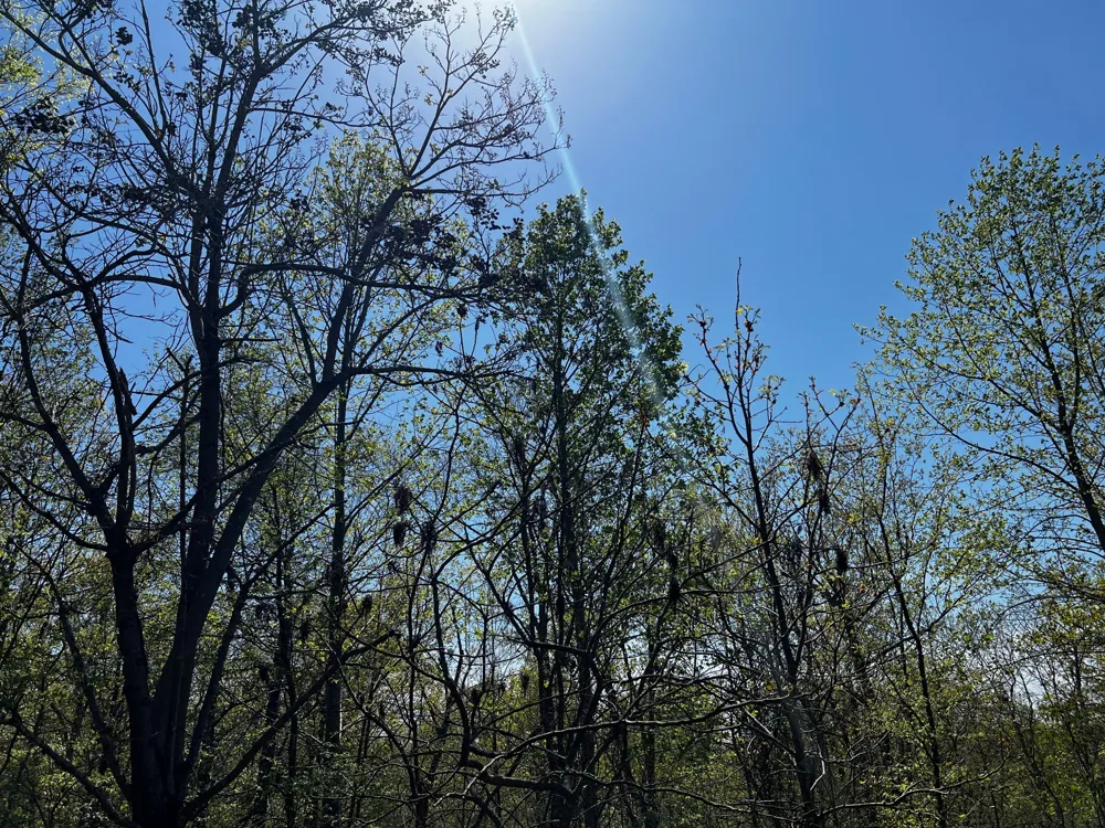 0 Shores Trail Stewart, TN 37175