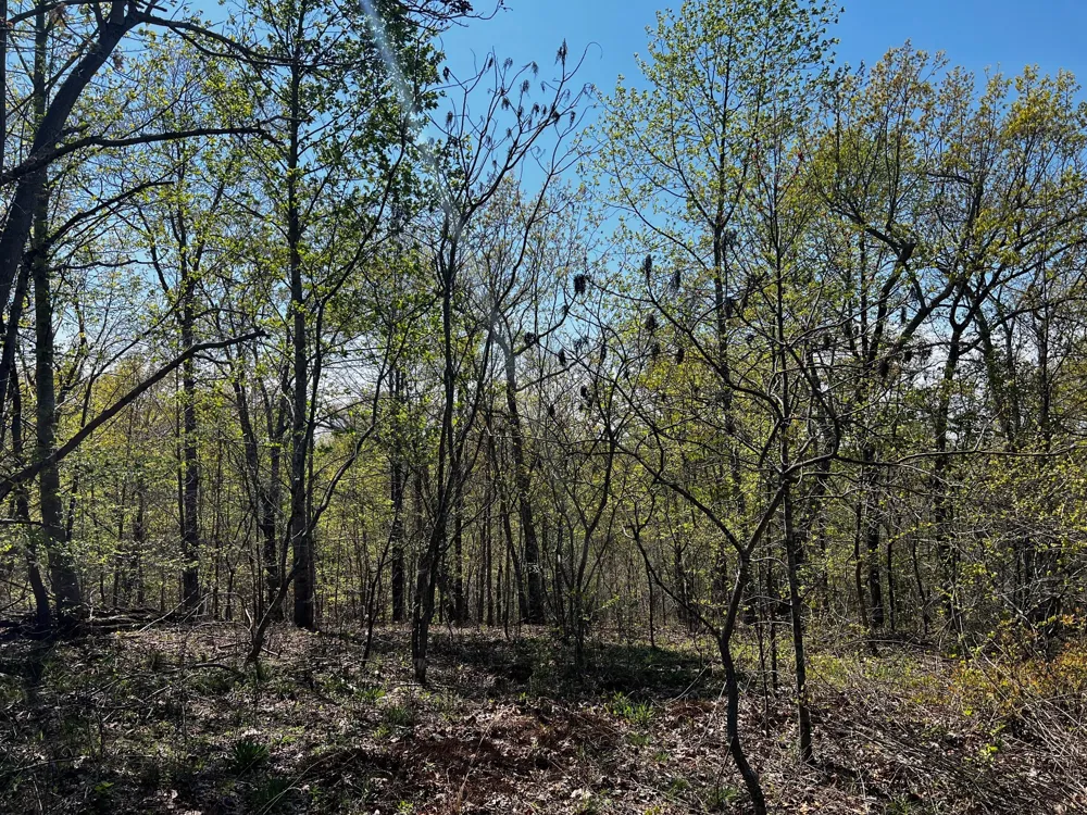 0 Shores Trail Stewart, TN 37175