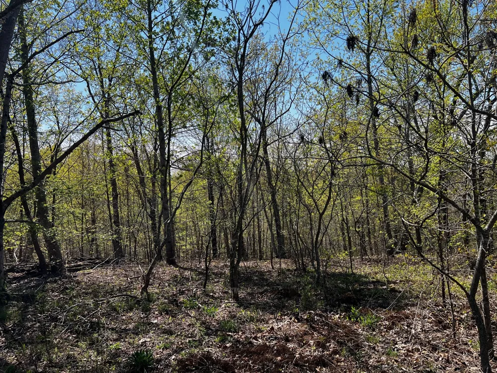0 Shores Trail Stewart, TN 37175