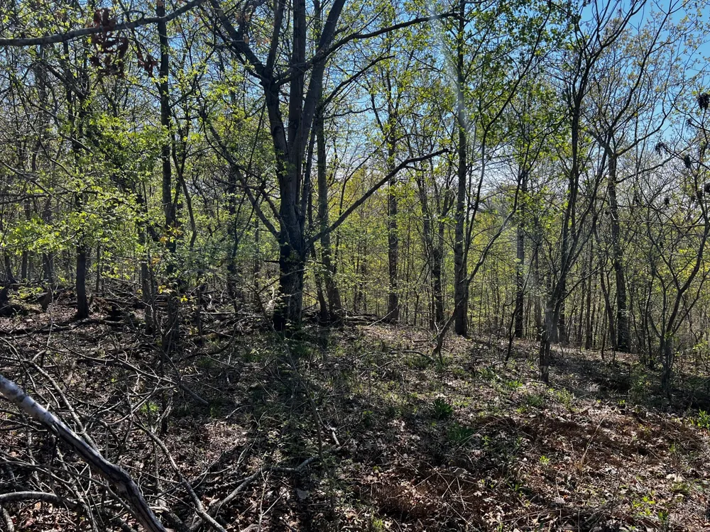 0 Shores Trail Stewart, TN 37175