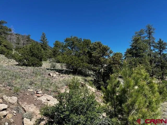 Ellingwood Drive South Fork, CO 81154