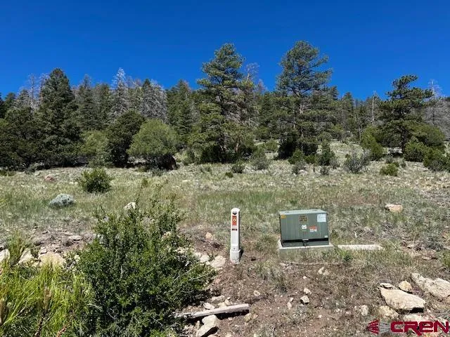 Ellingwood Drive South Fork, CO 81154