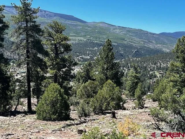 Ellingwood Drive South Fork, CO 81154