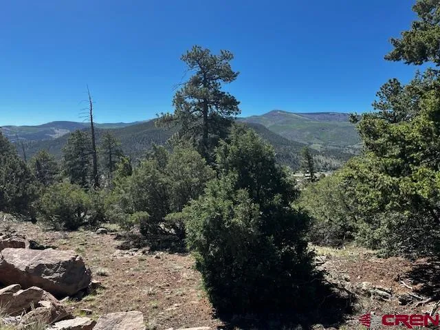Ellingwood Drive South Fork, CO 81154