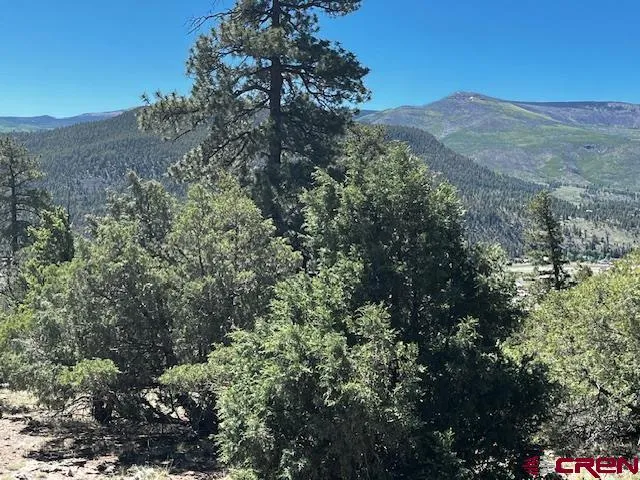 Ellingwood Drive South Fork, CO 81154