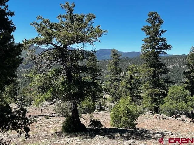 Ellingwood Drive South Fork, CO 81154