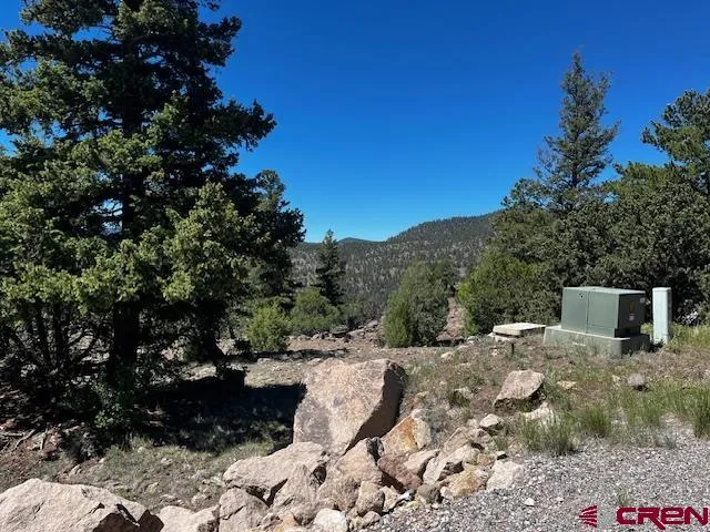 Ellingwood Drive South Fork, CO 81154