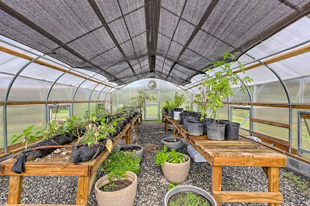 3147 Old Hwy 64 W Warne, NC 28909