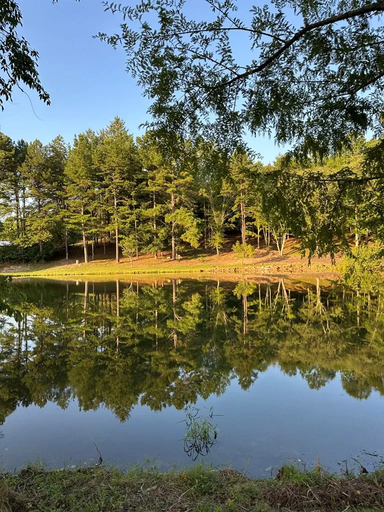 3147 Old Hwy 64 W Warne, NC 28909