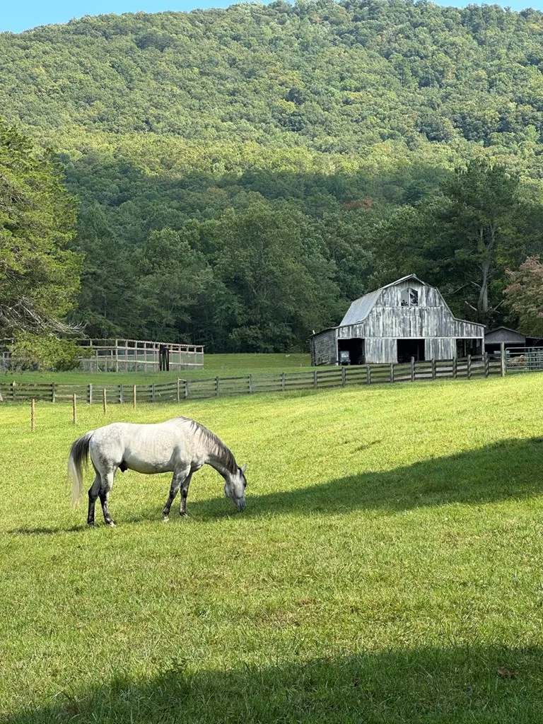3147 Old Hwy 64 W Warne, NC 28909