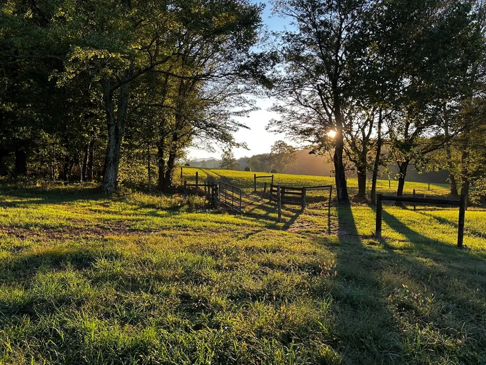 3147 Old Hwy 64 W Warne, NC 28909