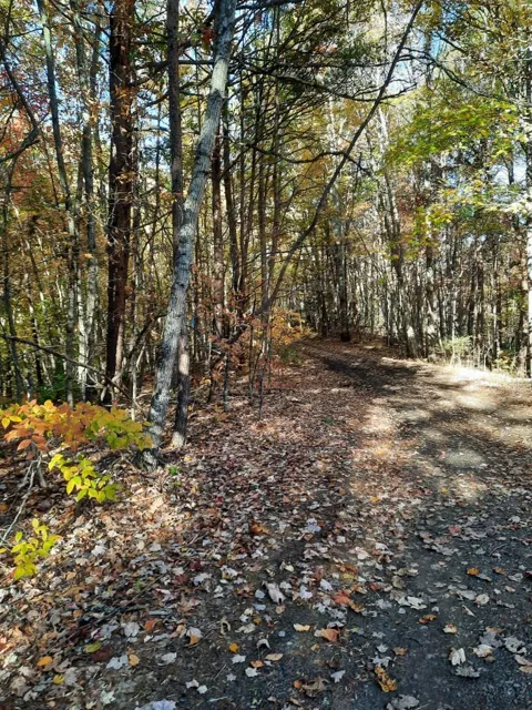 Dog Leg Road