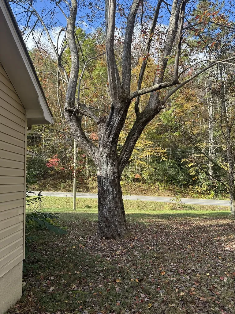 Snowbird Rd. Robbinsville, NC 28771
