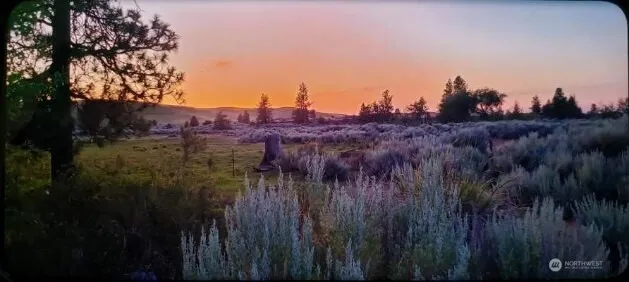 0 S Harrison Road W Spokane, WA 99226