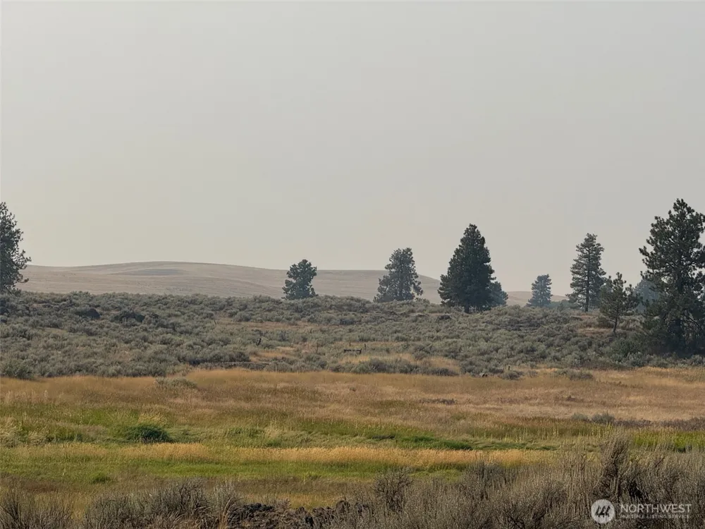 0 S Harrison Road W Spokane, WA 99226