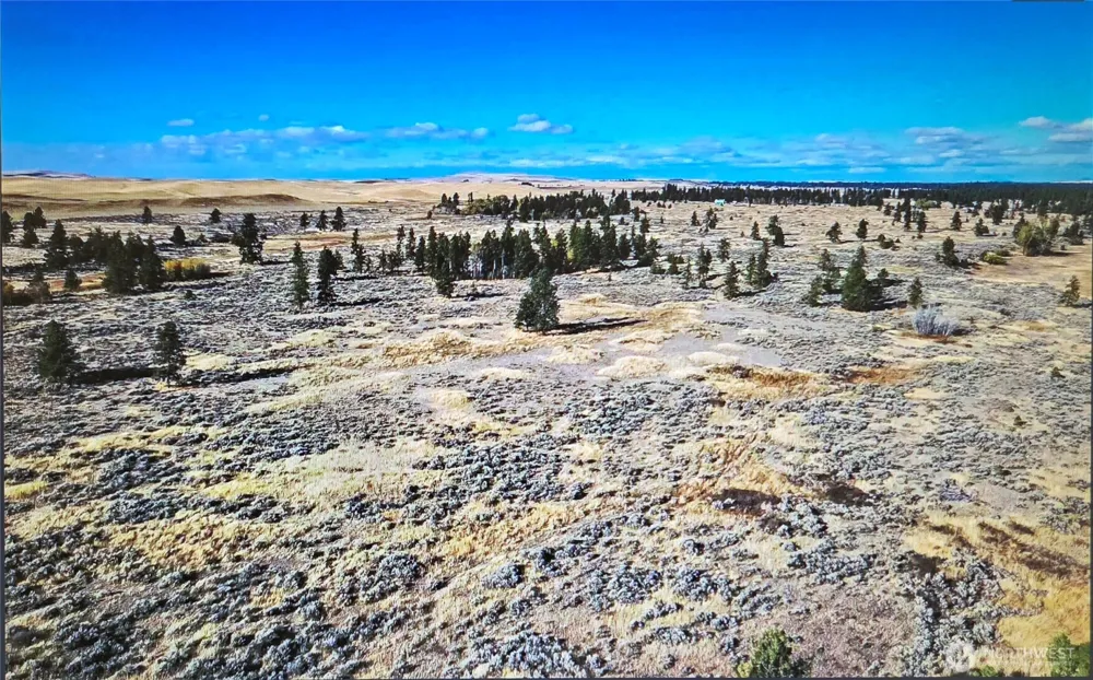 0 S Harrison Road W Spokane, WA 99226