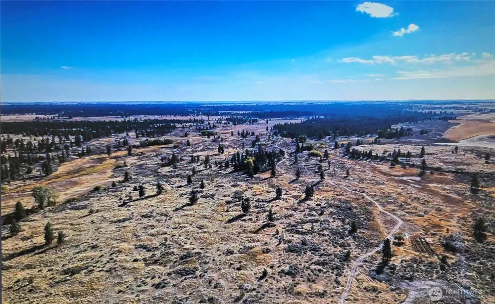0 S Harrison Road W Spokane, WA 99226
