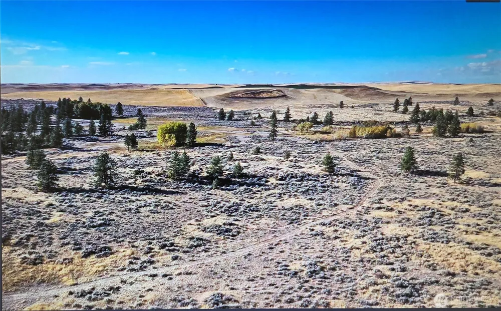 0 S Harrison Road W Spokane, WA 99226